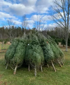 christmas tree overstock liquidation pallets mexico