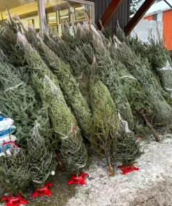 christmas tree overstock liquidation pallets mexico